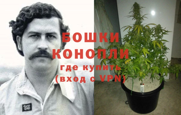 ALPHA PVP Алексин