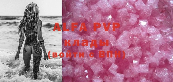 стаф Алзамай