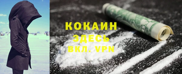 дживик Саяногорск