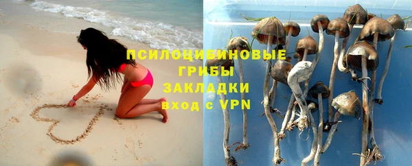 ALPHA PVP Алексин