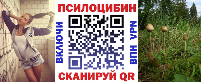Псилоцибиновые грибы GOLDEN TEACHER Сельцо